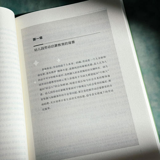 从指尖到心田 幼儿园劳动启蒙教育 基于具身学习视角 构建幼儿园劳动活动 沈烨 商品图10