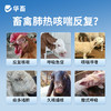桑仁清肺口服液 商品缩略图1