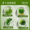 澳洲原装进口melrose小绿粉膳食纤维粉200g  A-6060（效期27-5） 商品缩略图3
