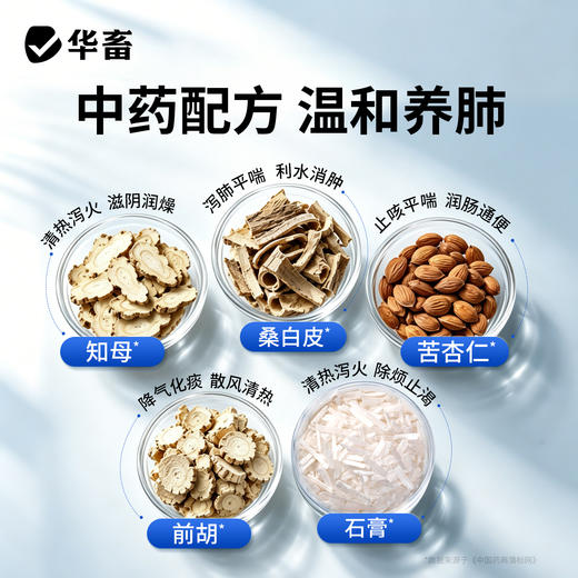 桑仁清肺口服液 商品图2