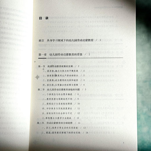 从指尖到心田 幼儿园劳动启蒙教育 基于具身学习视角 构建幼儿园劳动活动 沈烨 商品图6
