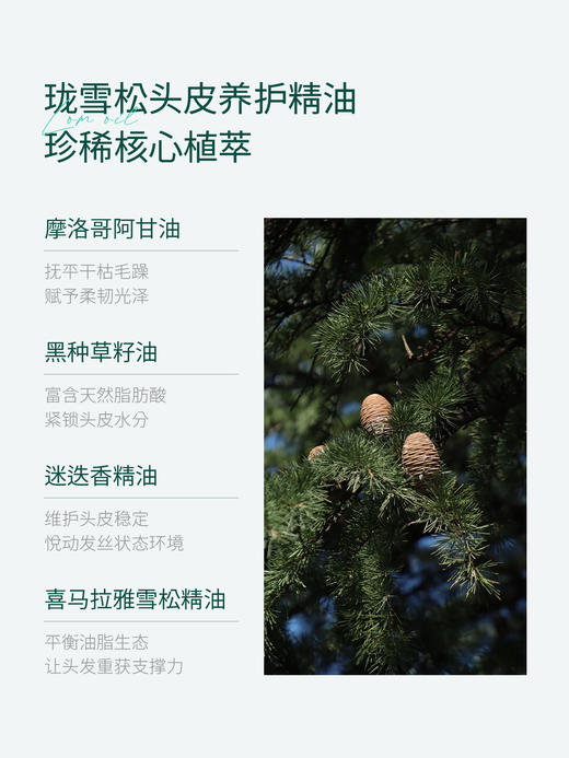 【重养头皮】泰国iamgreen珑雪松头皮养护精油 30ml 商品图2