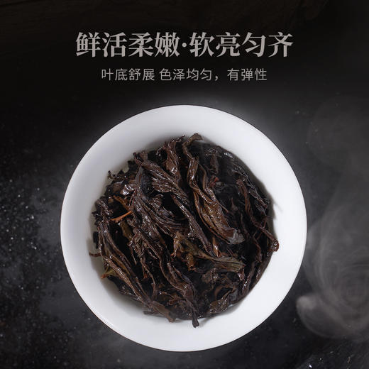 华祥苑-116g星时光肉桂(ECA) 商品图5