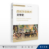 西班牙语美洲文学史/高等学校西班牙语专业系列教材/卢云/浙江大学出版社 商品缩略图0