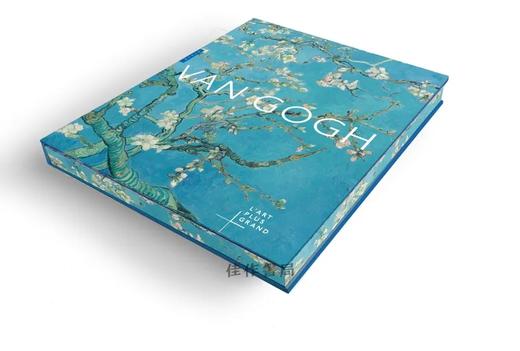 法文原版 | Van Gogh. L'art plus grand / 梵高：更伟大的艺术 商品图0