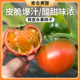 密云现摘铁皮柿子 3斤自然熟绿腚西红柿 新鲜水果西红柿