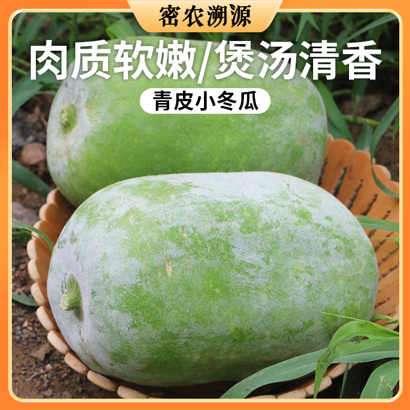 密云新鲜现摘农家小冬瓜 1个1斤以上   农家肥种植    肉质洁白  清香爽口