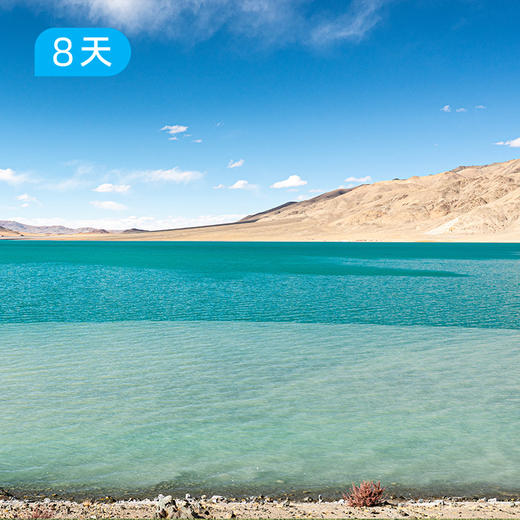 216羌塘穿越｜一措再措无人区禁地穿越｜越野露营8日 商品图13