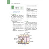 伤口护理 维护皮肤完整性实用指南 第2二版 陈芳 等主译 适合伤口护理师护士全科外科及相关专业学生阅读参考 辽宁科学技术出版社 商品缩略图4