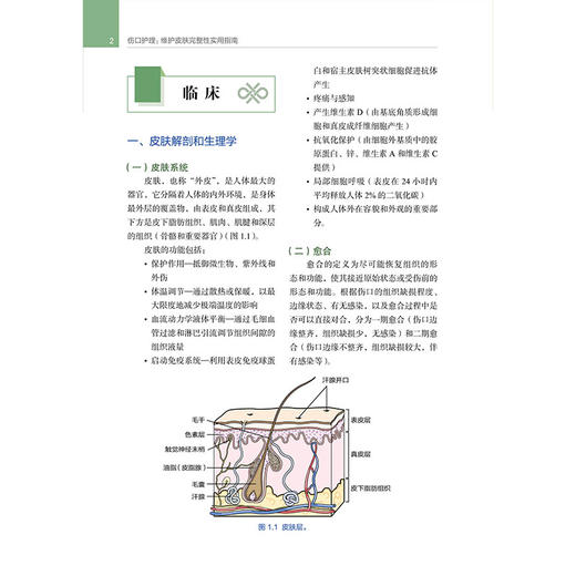 伤口护理 维护皮肤完整性实用指南 第2二版 陈芳 等主译 适合伤口护理师护士全科外科及相关专业学生阅读参考 辽宁科学技术出版社 商品图4