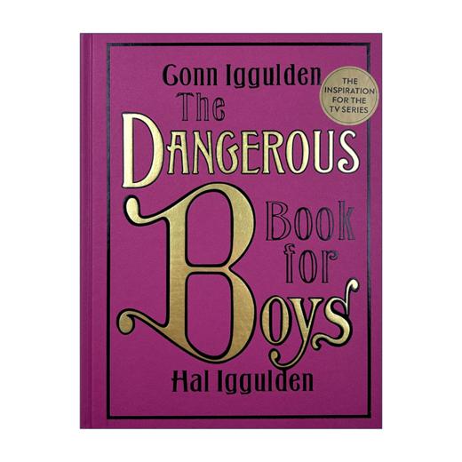 男孩的冒险书 英文原版 The Dangerous Book for Boys 男孩需要具备的品质 英国国家图书奖 英文版儿童读物 进口书籍 正版 商品图4