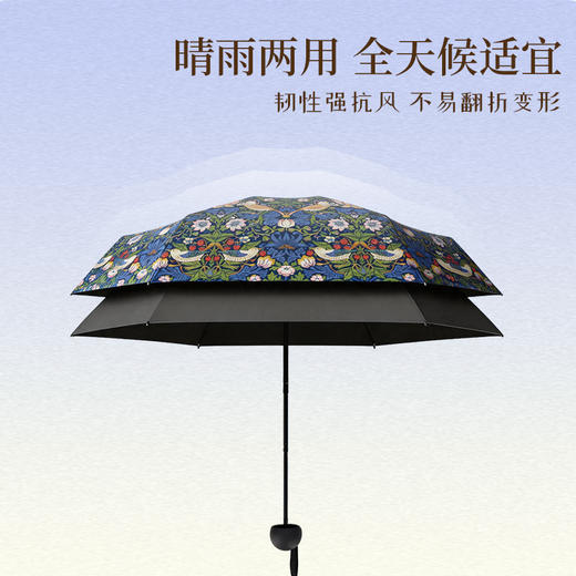 V&A博物馆 威廉莫里斯系列 草莓小偷折叠伞/玫瑰折叠伞 商品图4