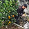 山萃蜜语脐橙花蜂蜜礼盒 商品缩略图5