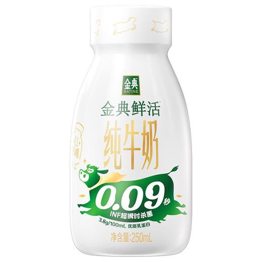 伊利250ml金典鲜活纯牛奶（瓶装） 商品图0