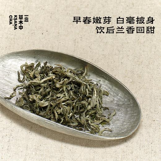 【快闪上新】特级滇绿·生态茶丨80g原叶丨绿茶类 商品图1