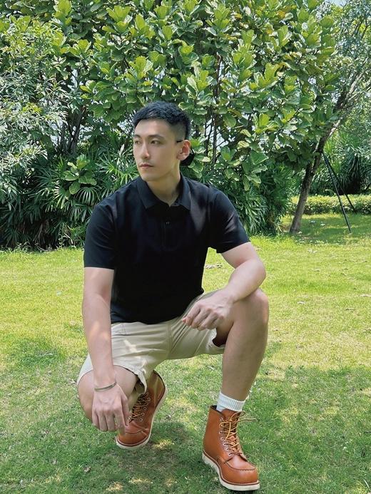 【清仓特惠 2件69 凉感帅气款】斯辰唯佳商务休闲冰丝POLO衫（注：单拍不发，请将商品分别加入购物车一并结算） 商品图1