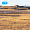216羌塘穿越｜一措再措无人区禁地穿越｜越野露营8日 商品缩略图9