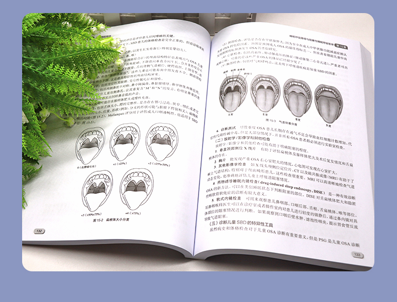 紫粉-1_05.jpg