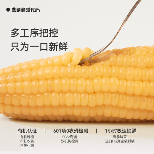 有机小玉米 商品图4