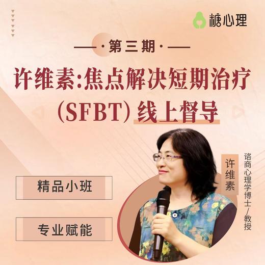 许维素：短焦（SFBT）线上督导第3期 商品图0