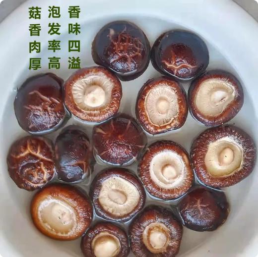 【YMHR】干香菇  肉厚无根 商品图2