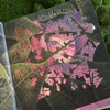 精灵异闻录 博物学家精怪笔记 商品缩略图4