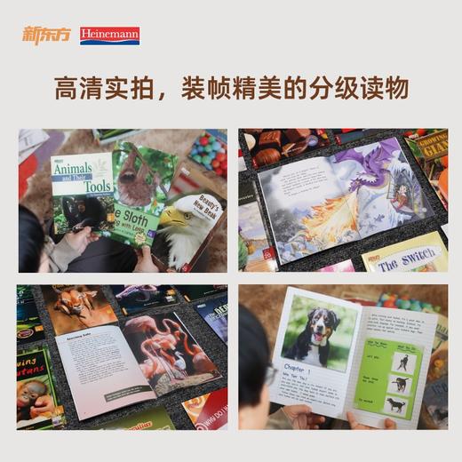 FX【零基础】海尼曼英语分级阅读绘本 GK+G1+G2 +G3+G4+G5  少儿英语启蒙绘本 商品图7