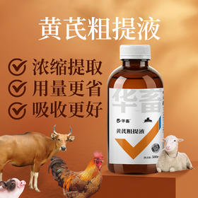 华畜黄芪多糖粗提液500ml  浓缩提取用量更省吸收更好
