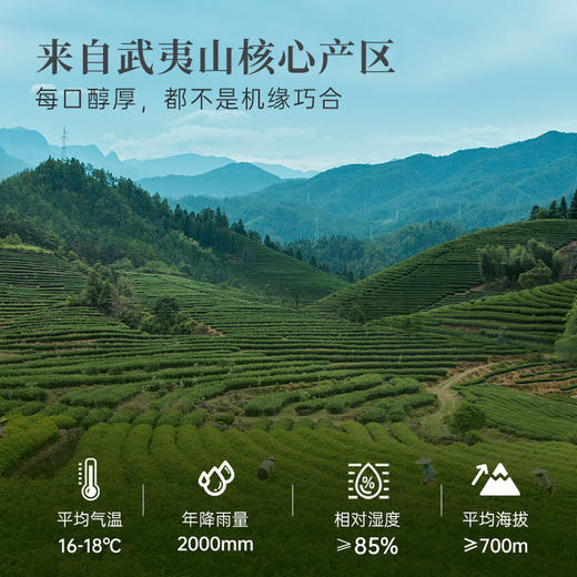 华祥苑-116g星时光肉桂(ECA) 商品图2