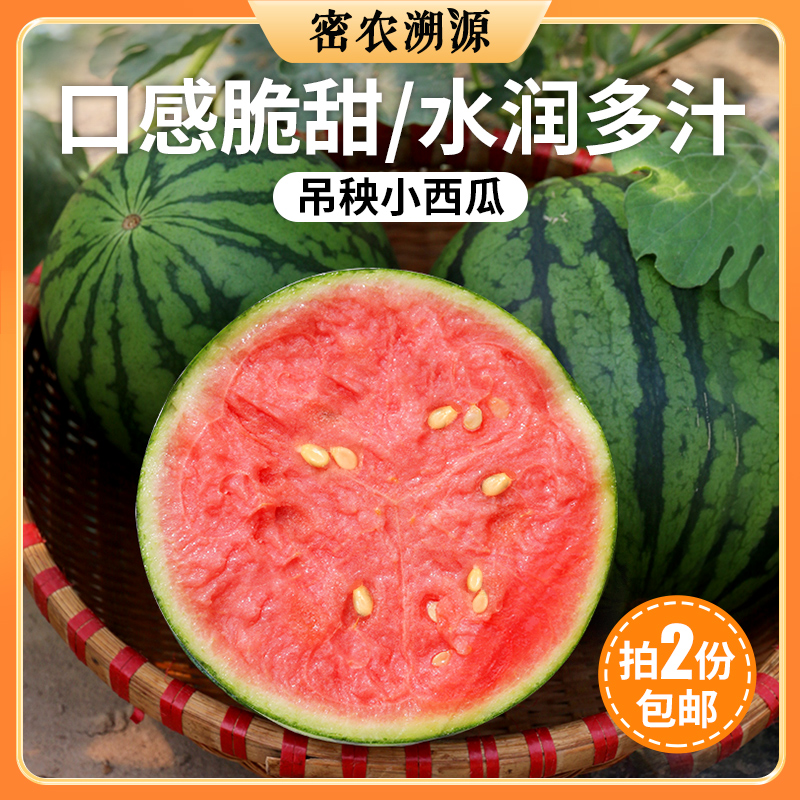 密云新鲜现摘小西瓜1个2份包邮 脆甜西瓜 皮薄吊瓜 新鲜西瓜时令水果