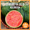密云新鲜现摘小西瓜1个2份包邮 脆甜西瓜 皮薄吊瓜 新鲜西瓜时令水果 商品缩略图0