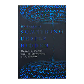 深藏的东西 英文原版 Something Deeply Hidden 量子世界和时空的出现 英文版进口原版英语书籍