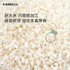 南粳46有机大米 · 获奖米种 独立包装 润白晶莹 色泽鲜亮 （河北/内蒙古发货） 商品缩略图3