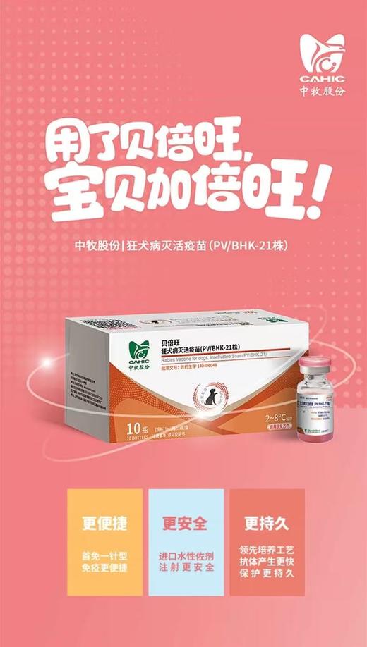 中牧 贝倍旺 狂犬病灭活疫苗 1头份×10份/盒，2027年12月24到期，兽药生字140406048，用于预防犬的狂犬病。接种后14日产生免疫力，免疫期为12个月。 商品图0