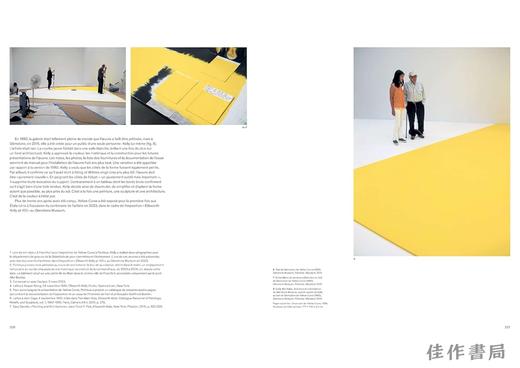 【全新现货】 Ellsworth Kelly: Formes et Couleurs, 1949-2015 / 埃尔斯沃思·凯利：形式与色彩 1949-2015年【法文原版】 商品图3