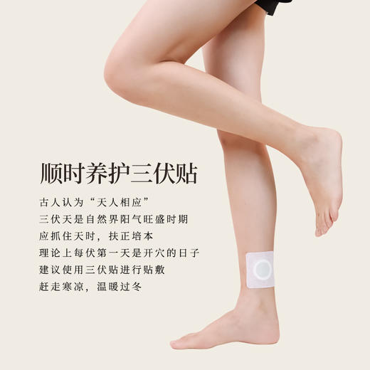正安  冬恙夏养三伏贴 5贴/袋*4袋/盒【不叠加其他活动】 商品图4