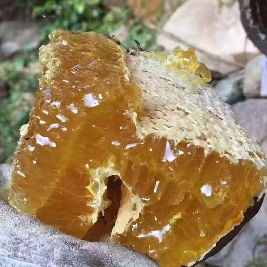 山萃蜜语脐橙花蜂蜜礼盒 商品图3