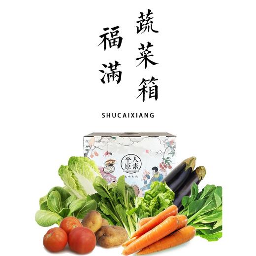 平人农场福满蔬菜箱 7斤包邮 商品图0