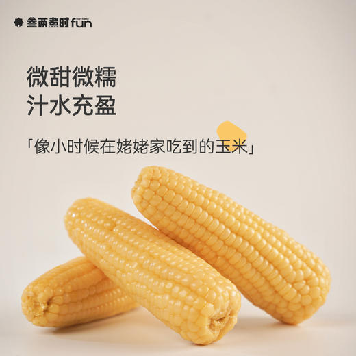 有机小玉米 商品图3