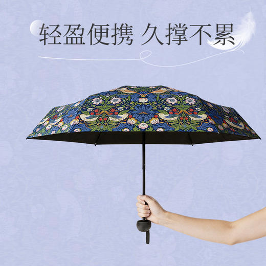 V&A博物馆 威廉莫里斯系列 草莓小偷折叠伞/玫瑰折叠伞 商品图3