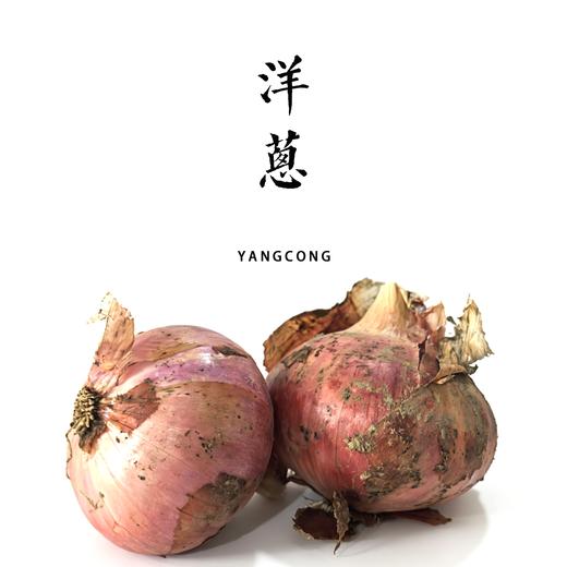 洋葱（带皮） 商品图0