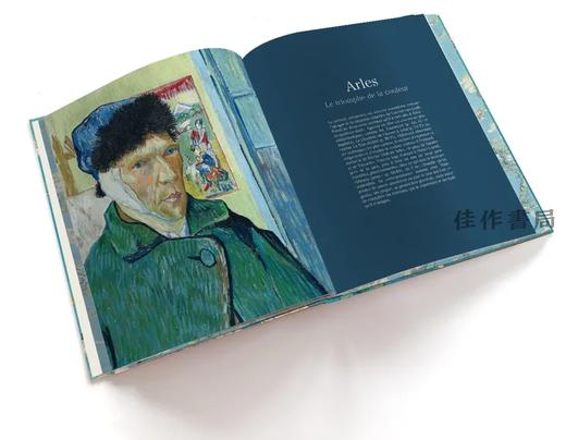 法文原版 | Van Gogh. L'art plus grand / 梵高：更伟大的艺术 商品图1