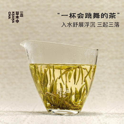 【快闪上新】君山银针·岳阳黄茶 | 50g原叶 | 黄茶类 商品图2