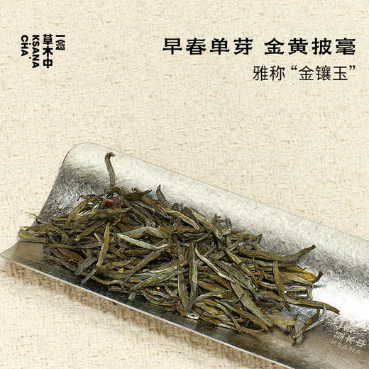 【快闪上新】君山银针·岳阳黄茶 | 50g原叶 | 黄茶类 商品图1