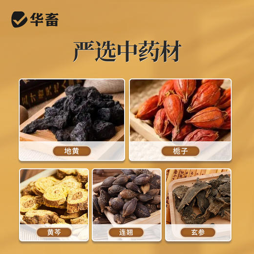 华畜兽用 清瘟解毒口服液500ml 感冒发烧 四季流感 禽呼吸道病药 商品图2