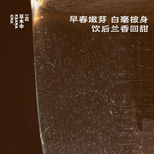 【快闪上新】特级滇绿·生态茶丨80g原叶丨绿茶类 商品图2