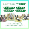 【5-10岁】重返森林（大熊猫淘淘的真实故事） 商品缩略图3