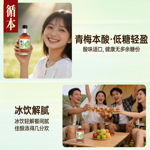 【两瓶装】（再赠一瓶）百年糊涂出品循本青梅酒 12度 低糖 300ml*2瓶 新品限时特惠 商品图5