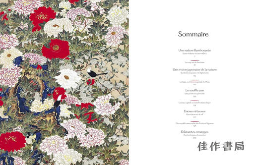 法文原版 | Ito Jakuchu: la nature enchantee / 伊藤若冲：被迷醉的自然 商品图2