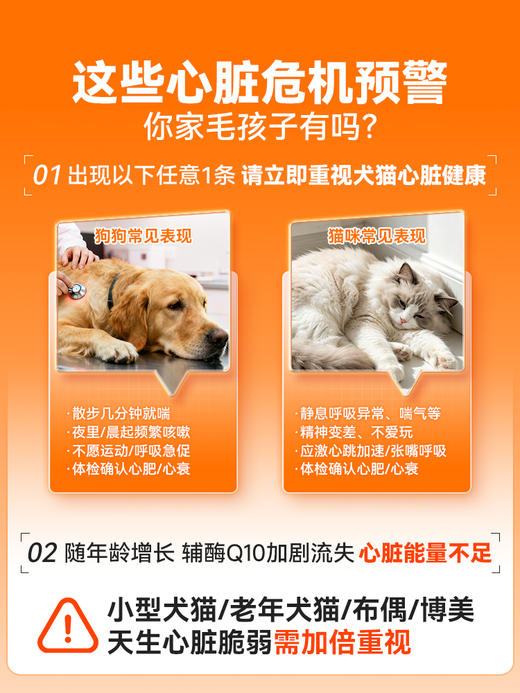 普安特辅酶Q10心诺宁护心养心狗狗心脏猫咪老年犬辅助调理心肌心安片 商品图1